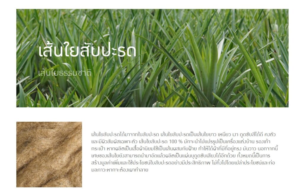 ข้อมูลน่าสนใจ messageimage 1776669506230
