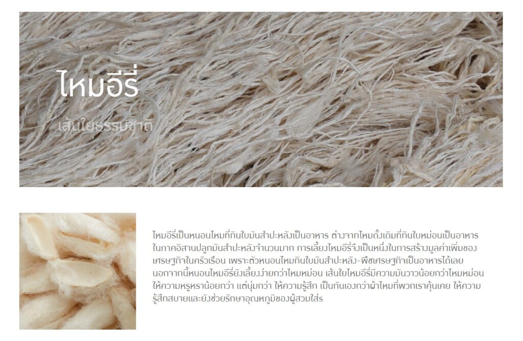 ข้อมูลน่าสนใจ messageimage 1776669531605