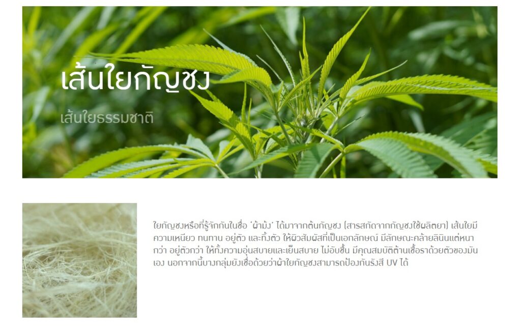 ข้อมูลน่าสนใจ messageimage 1776669618668