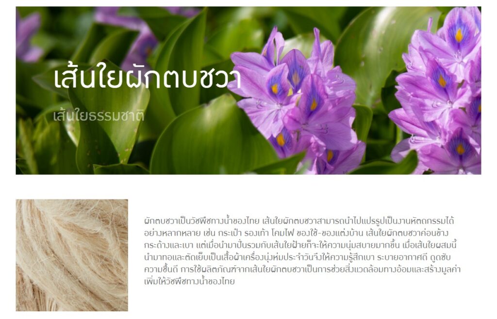 ข้อมูลน่าสนใจ messageimage 1776669652960