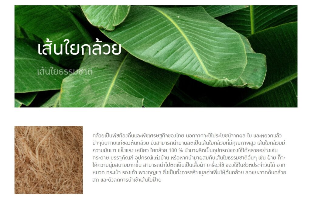 ข้อมูลน่าสนใจ messageimage 1776669683061