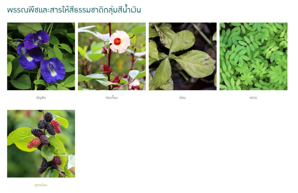 ข้อมูลน่าสนใจ messageimage 1776671811121