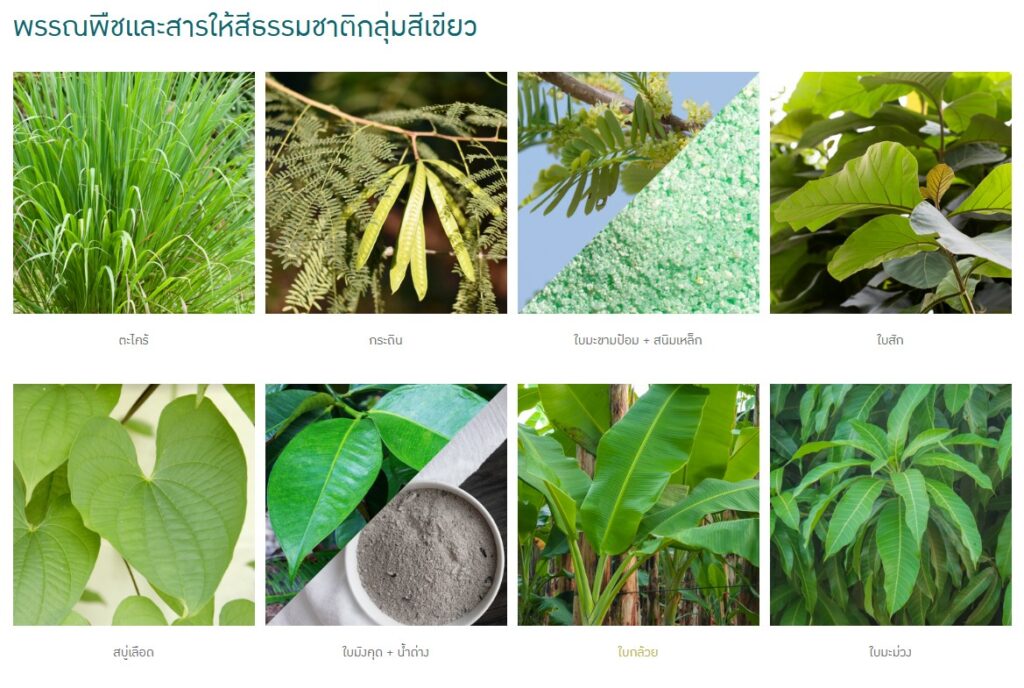 ข้อมูลน่าสนใจ messageimage 1776671882231