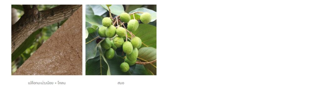 ข้อมูลน่าสนใจ messageimage 1776674159546