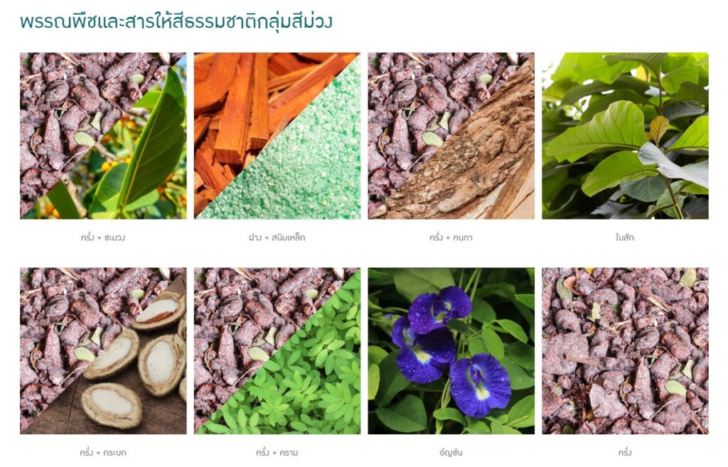 ข้อมูลน่าสนใจ messageimage 1776674285541
