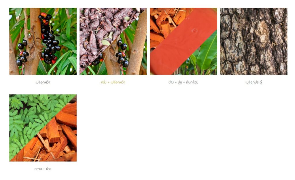 ข้อมูลน่าสนใจ messageimage 1776674413055