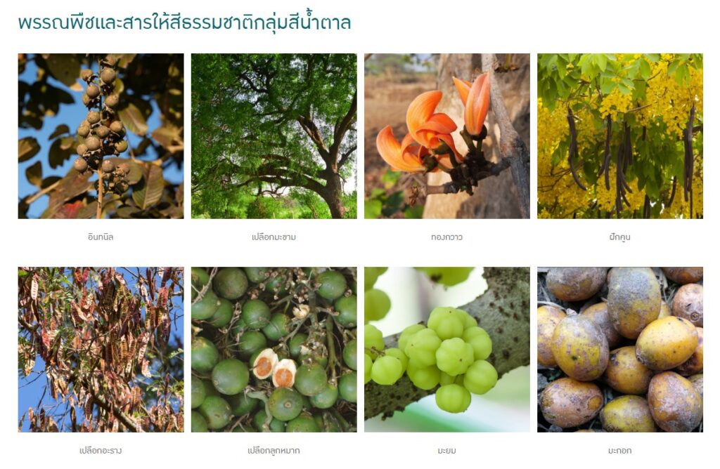 ข้อมูลน่าสนใจ messageimage 1776674478848