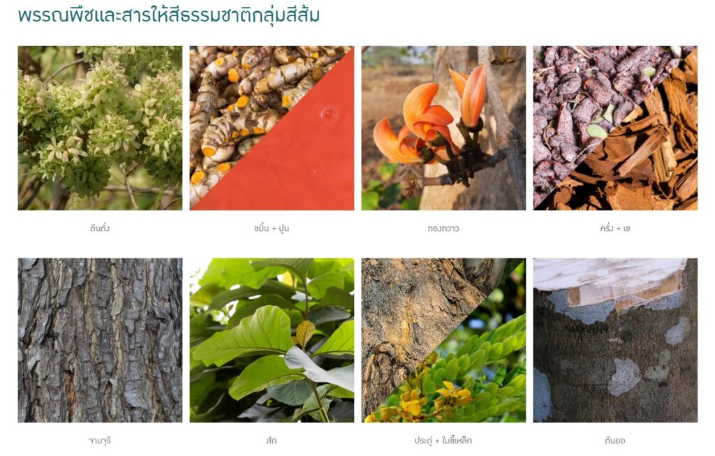 ข้อมูลน่าสนใจ messageimage 1776755354795