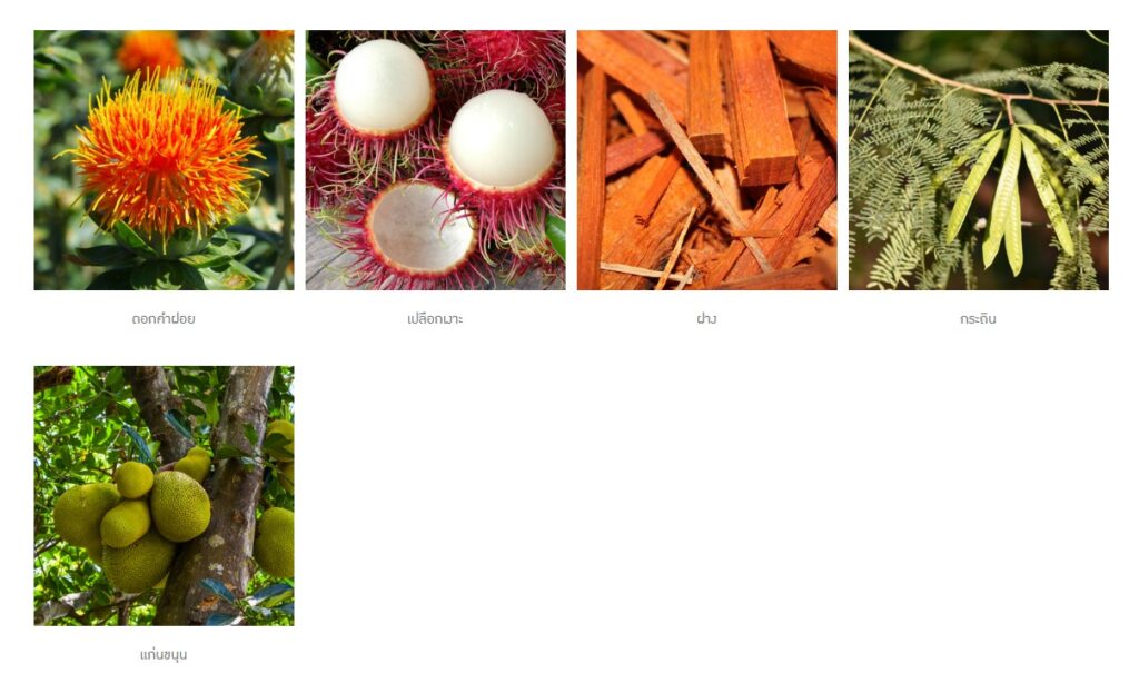 ข้อมูลน่าสนใจ messageimage 1776755395915