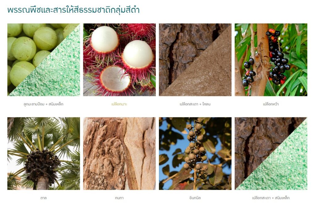 ข้อมูลน่าสนใจ messageimage 1776756107797