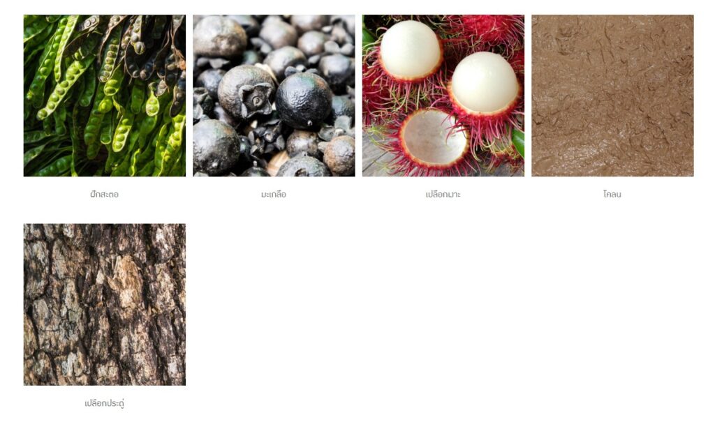 ข้อมูลน่าสนใจ messageimage 1776756212963