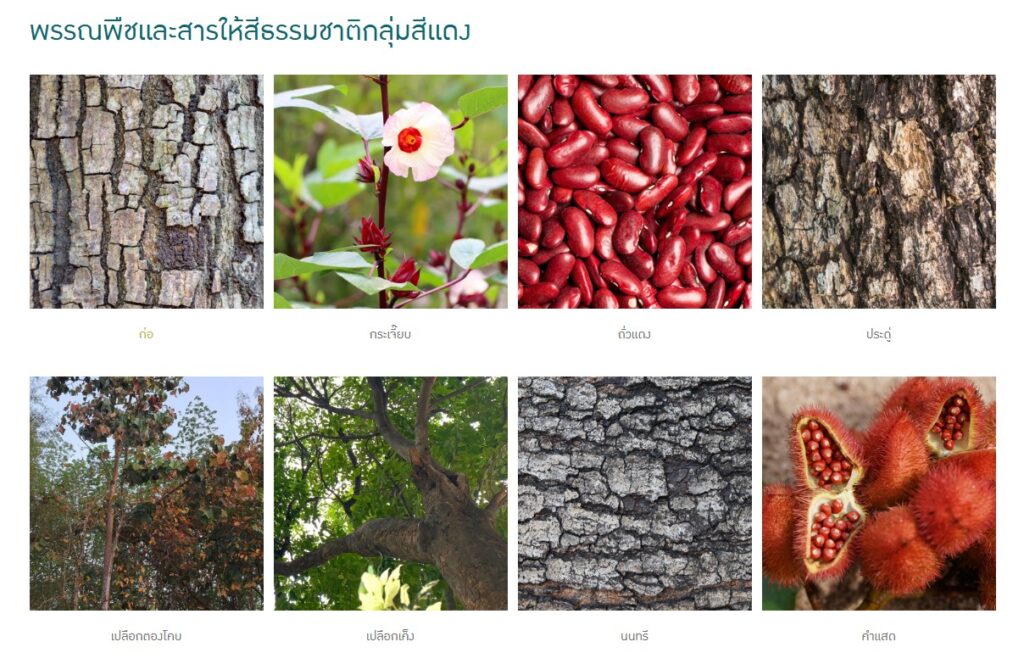 ข้อมูลน่าสนใจ messageimage 1776756424887