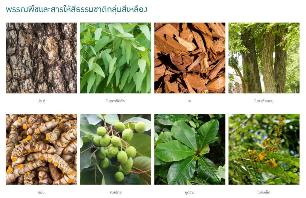 ข้อมูลน่าสนใจ messageimage 1776756786500